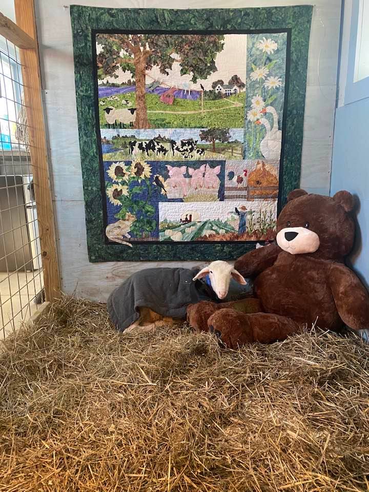 Lazurus with his very own teddy bear and a comfort quilt – we love you, Little Buddy!