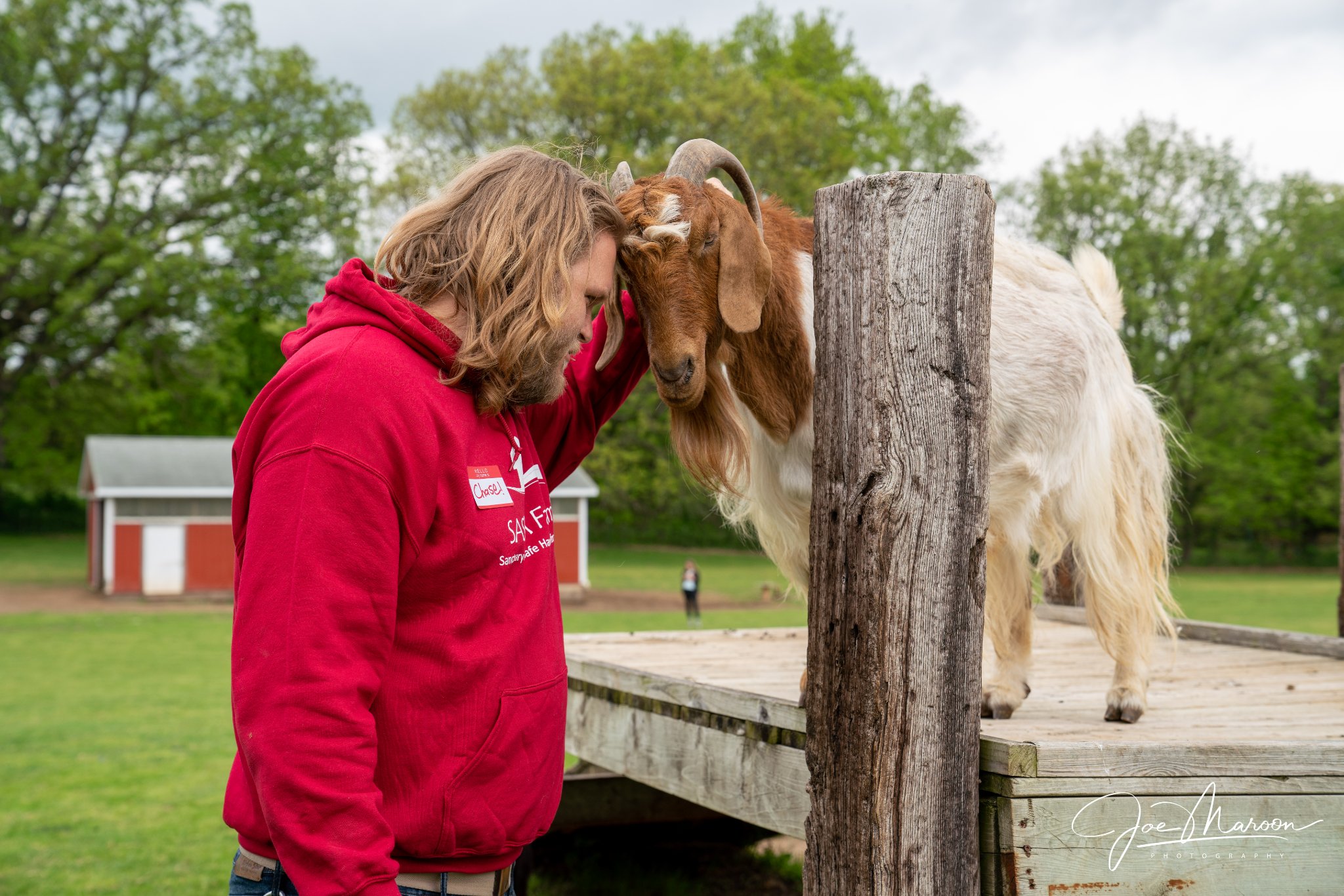 Animals get a second chance at life at Manchester sanctuary